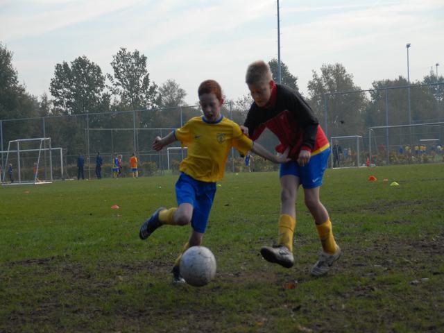 knvb(2) 071